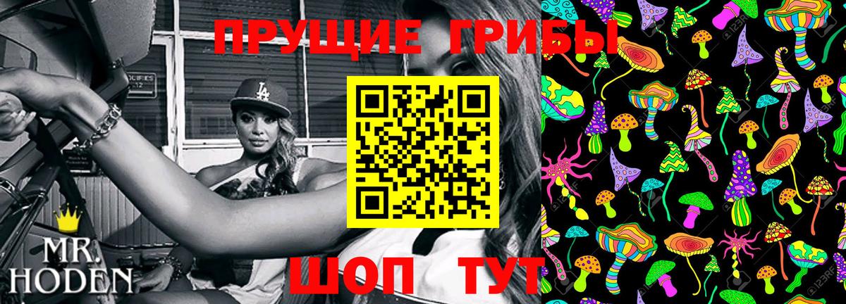 Псилоцибиновые грибы мицелий Чебоксары