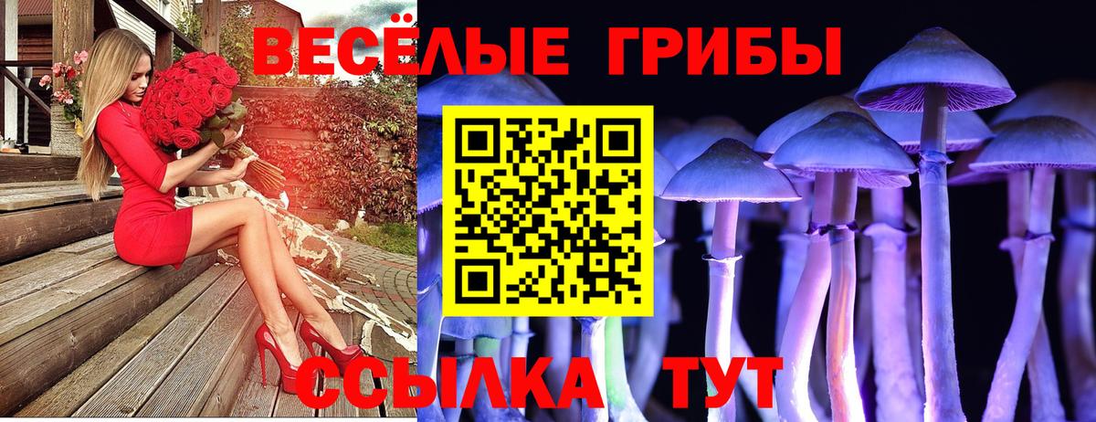 Чебоксары  Галлюциногенные грибы ЛСД  купить наркотик  Вход с VPN 